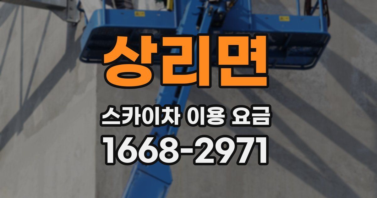 상리면 스카이차 이용 요금