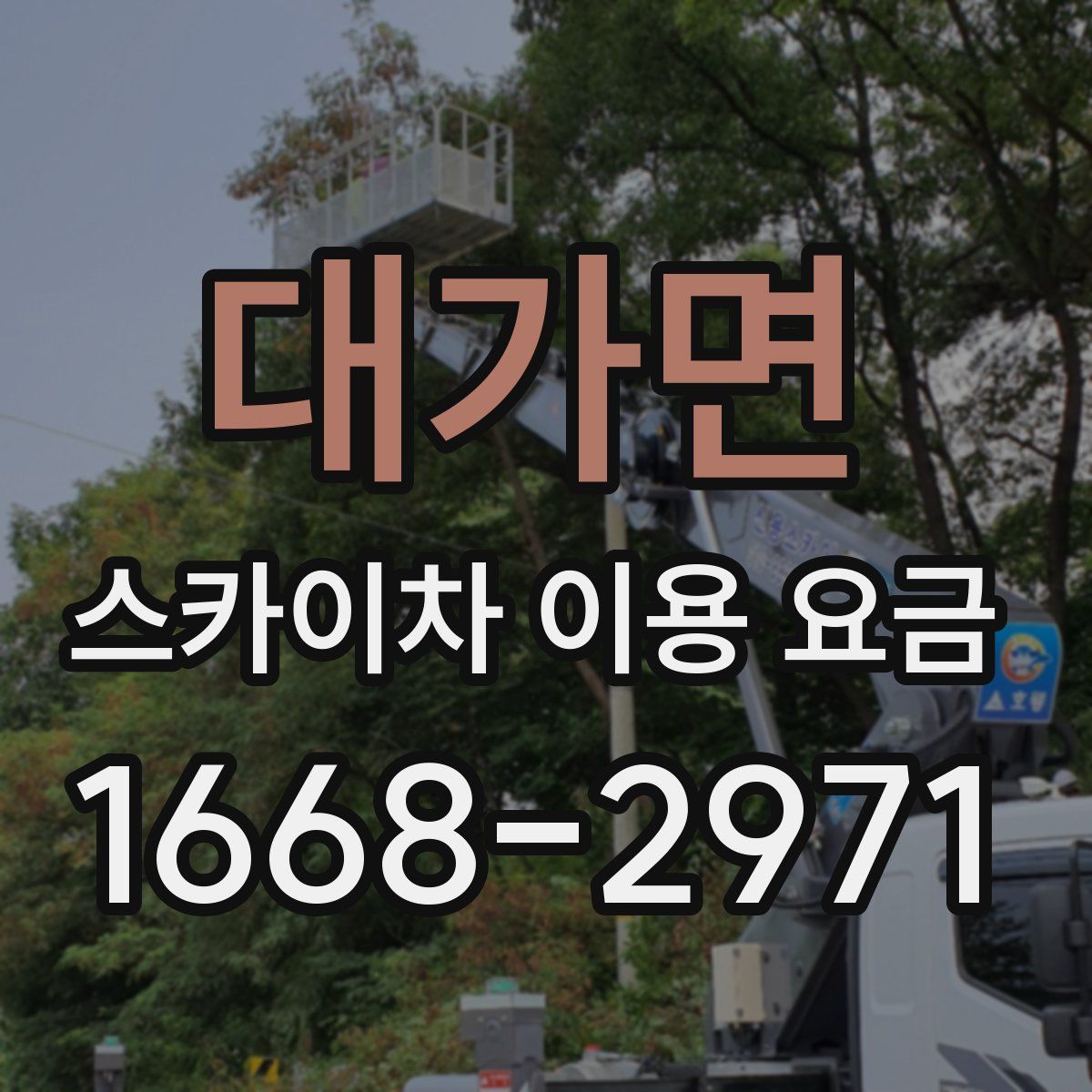 대가면 스카이차 이용 요금