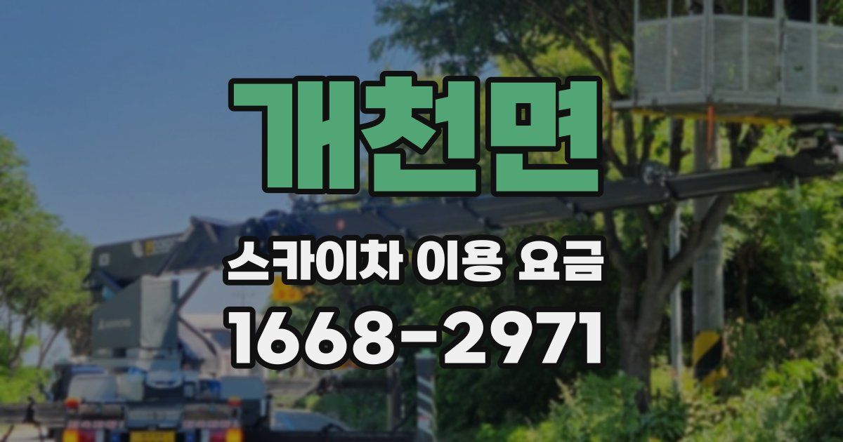 개천면 스카이차 이용 요금