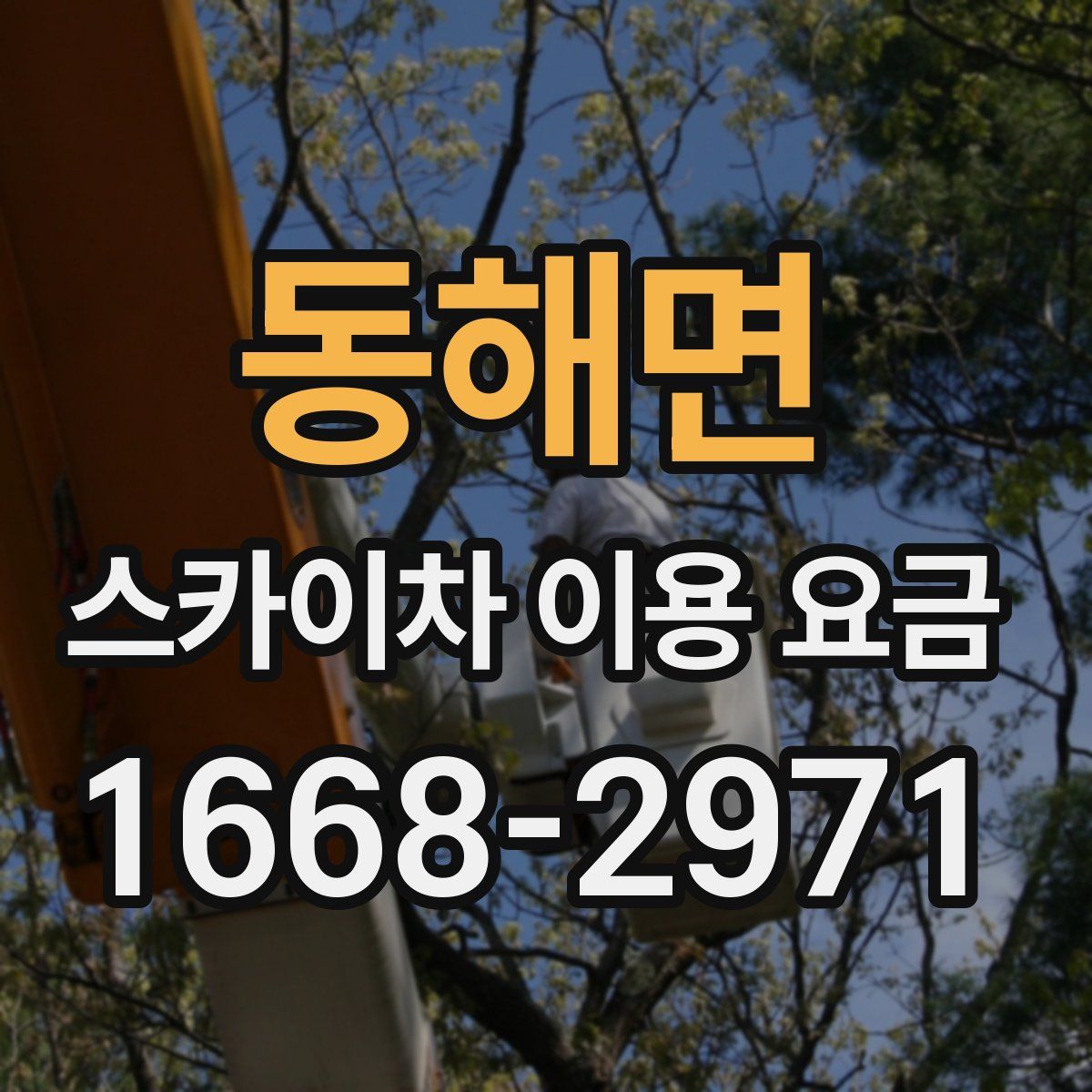 동해면 스카이차 이용 요금