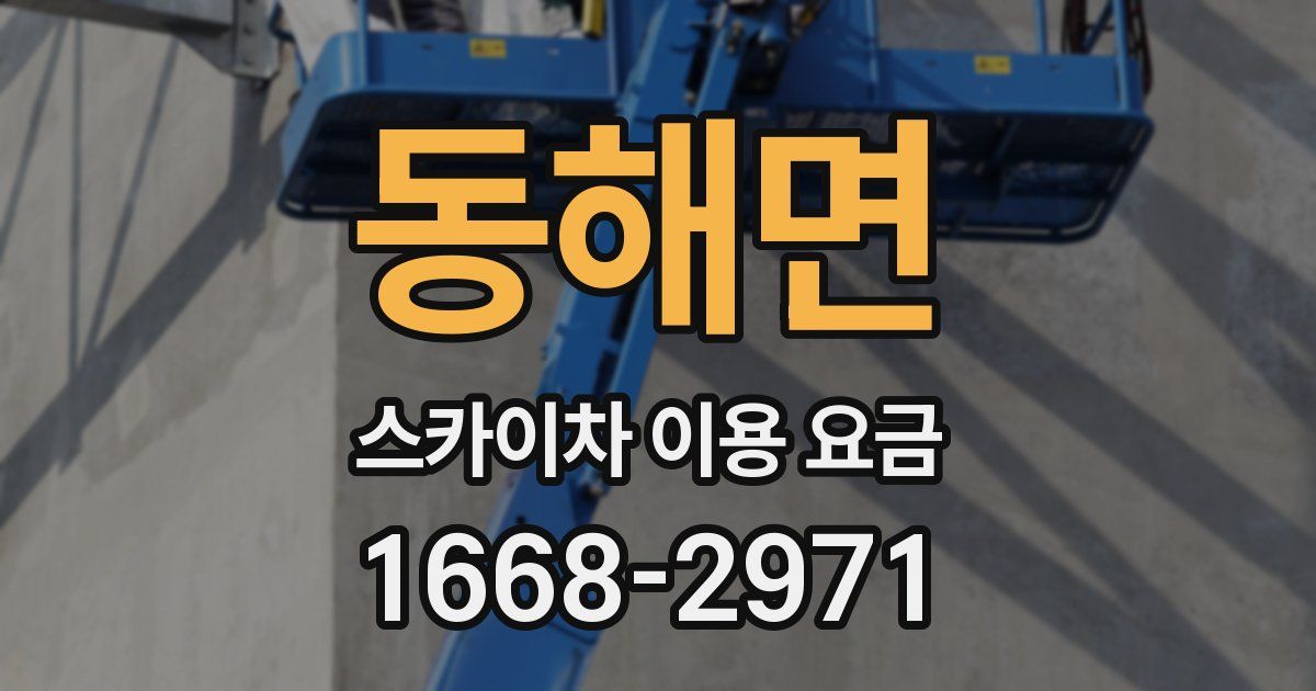 동해면 스카이차 이용 요금