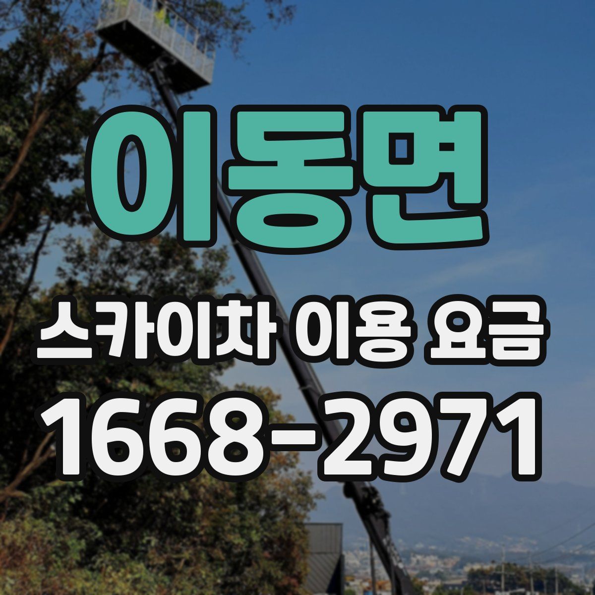 이동면 스카이차 이용 요금