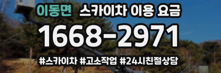 이동면 스카이차 이용 요금