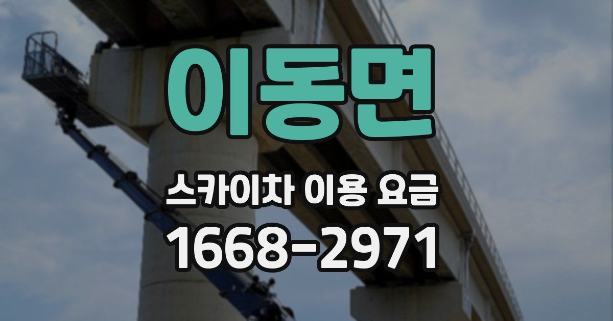 이동면 스카이차 이용 요금