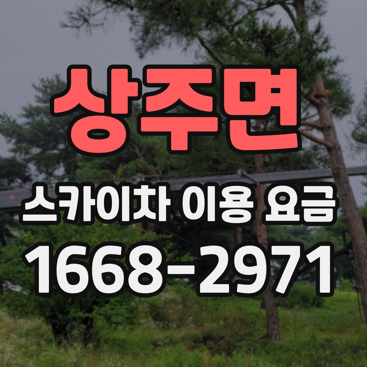 상주면 스카이차 이용 요금 비교, 가격만 보면 안 되는 이유