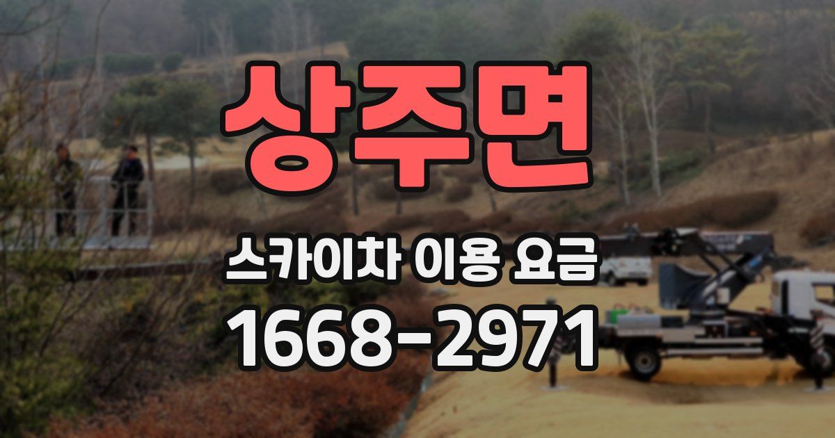 상주면 스카이차 이용 요금