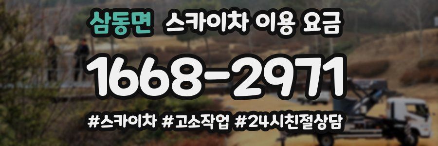 삼동면 스카이차 이용 요금