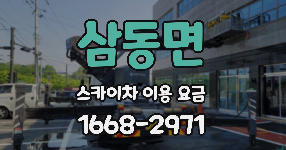 삼동면 스카이차 이용 요금