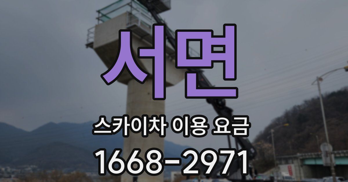 서면 스카이차 이용 요금