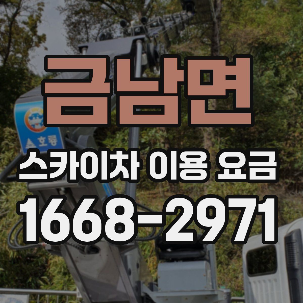 금남면 스카이차 이용 요금