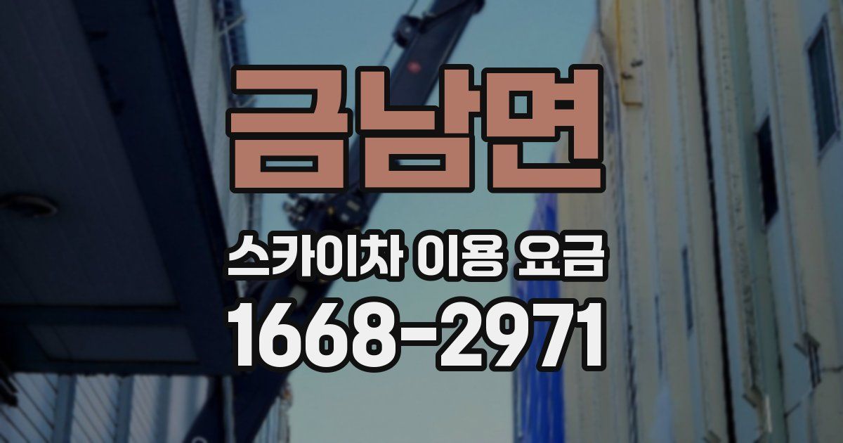 금남면 스카이차 이용 요금