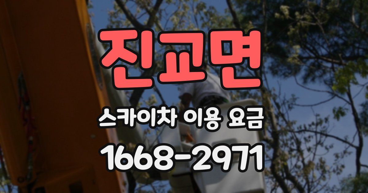 진교면 스카이차 이용 요금