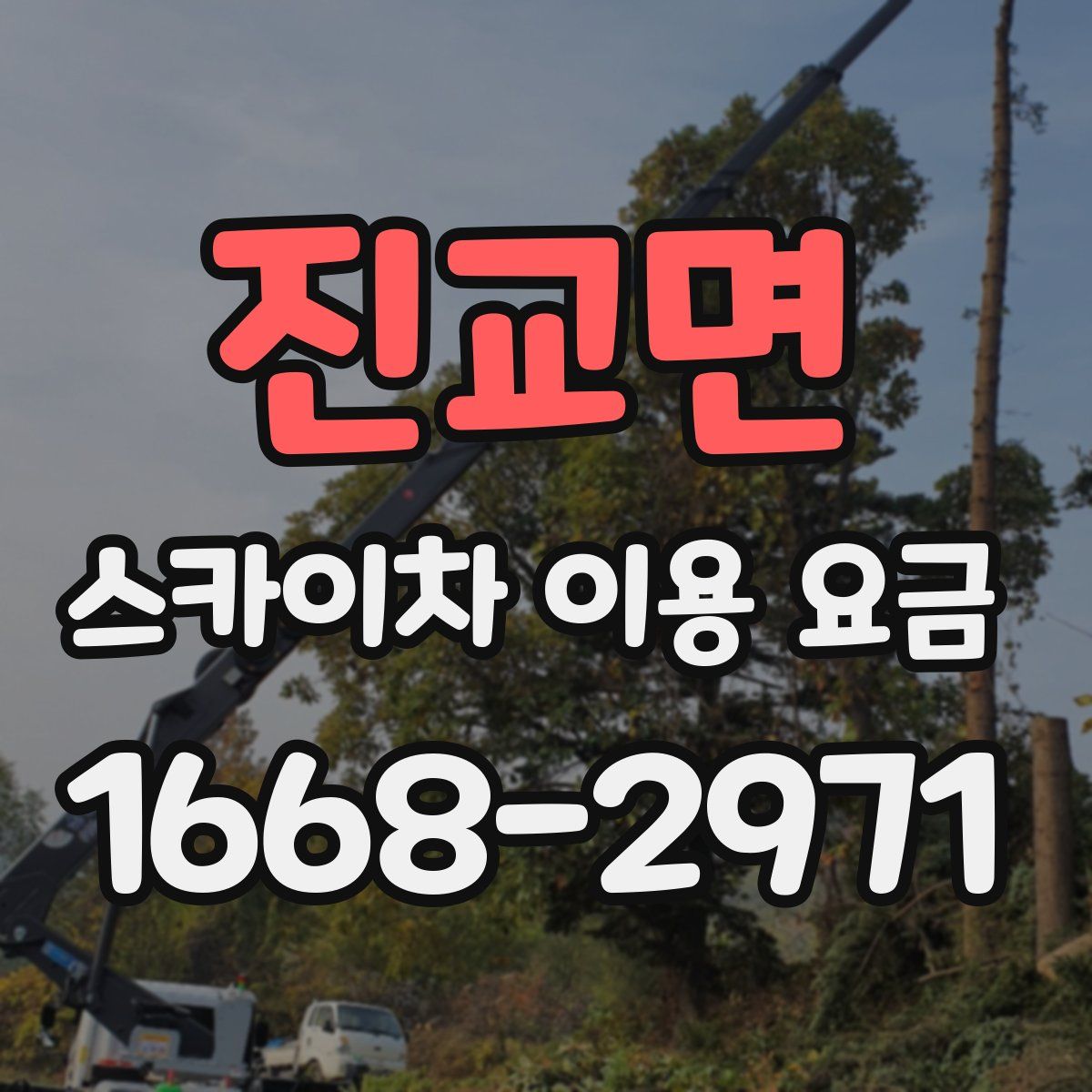 진교면 스카이차 이용 요금