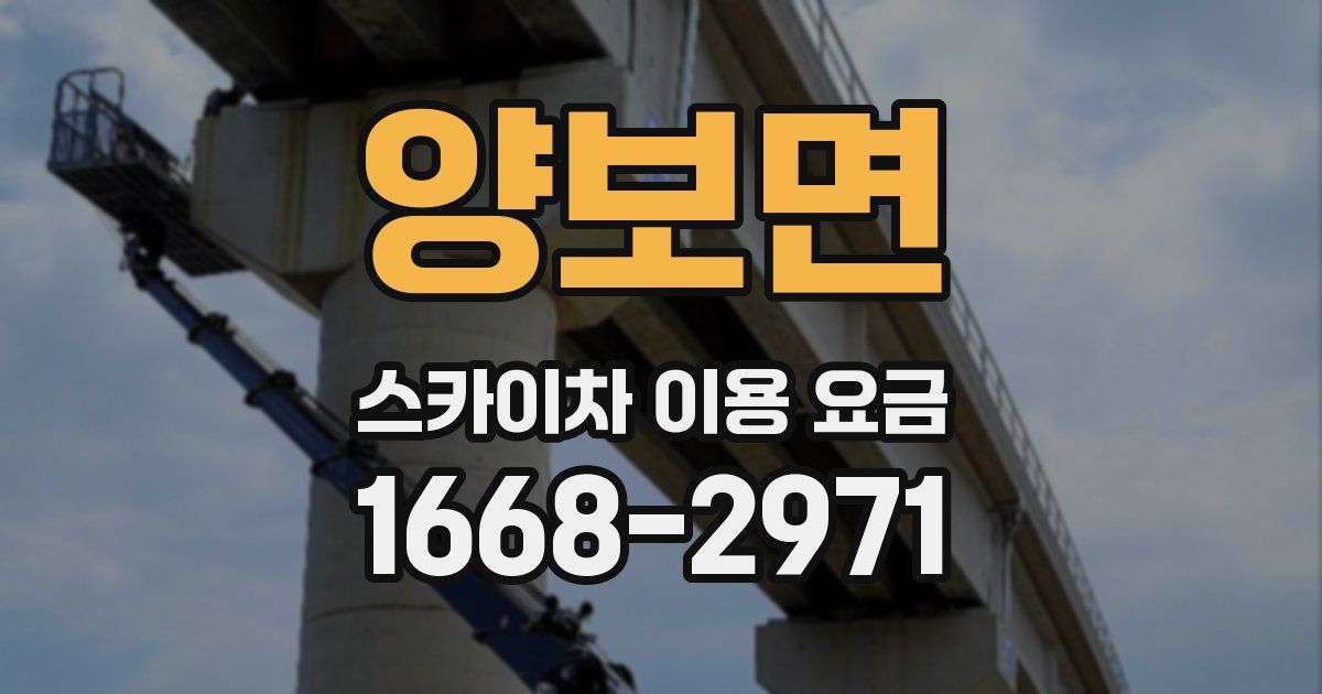양보면 스카이차 이용 요금
