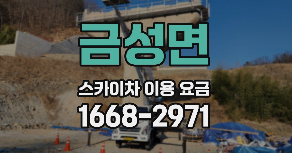 금성면 스카이차 이용 요금