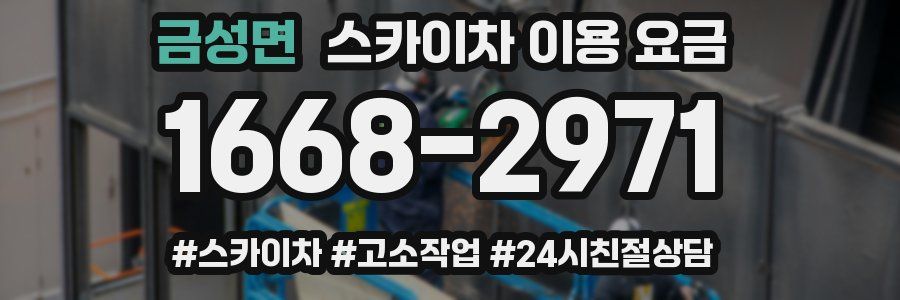 금성면 스카이차 이용 요금