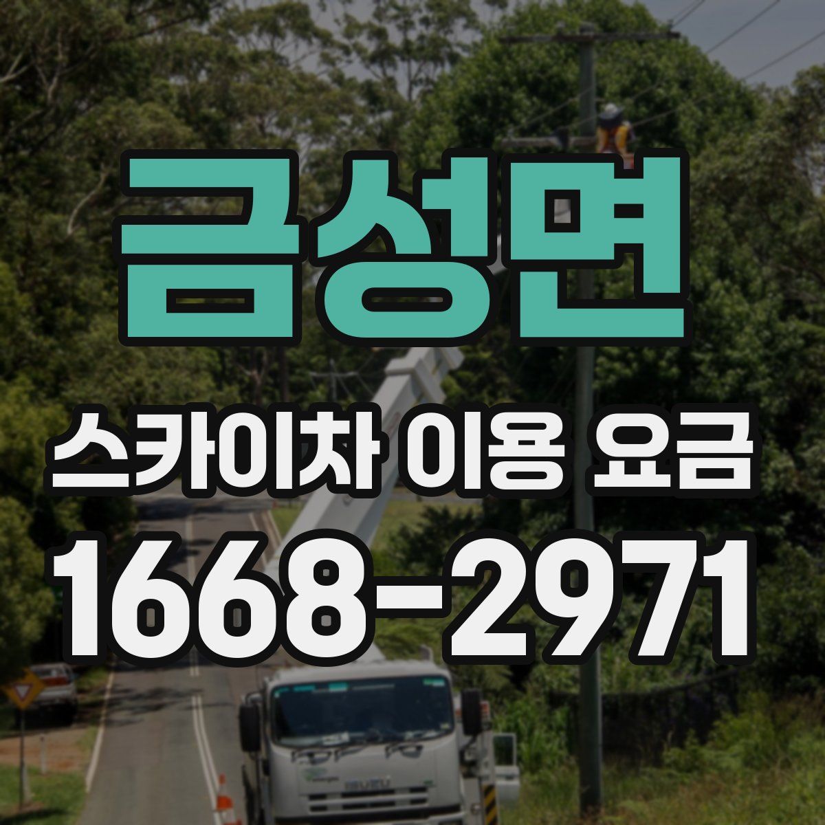 금성면 스카이차 이용 요금