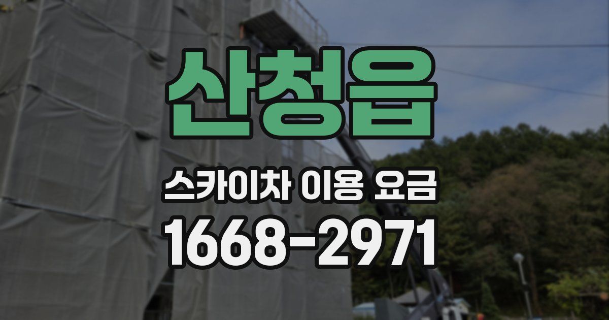 산청읍 스카이차 이용 요금