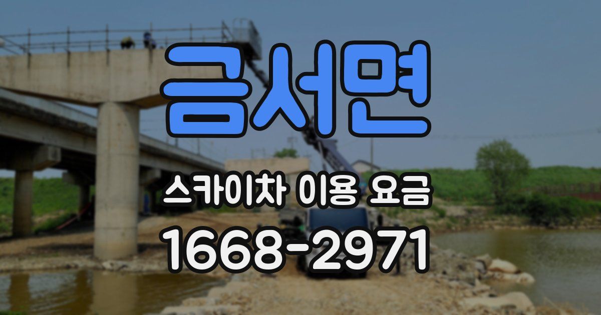 금서면 스카이차 이용 요금