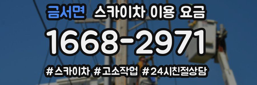 금서면 스카이차 이용 요금