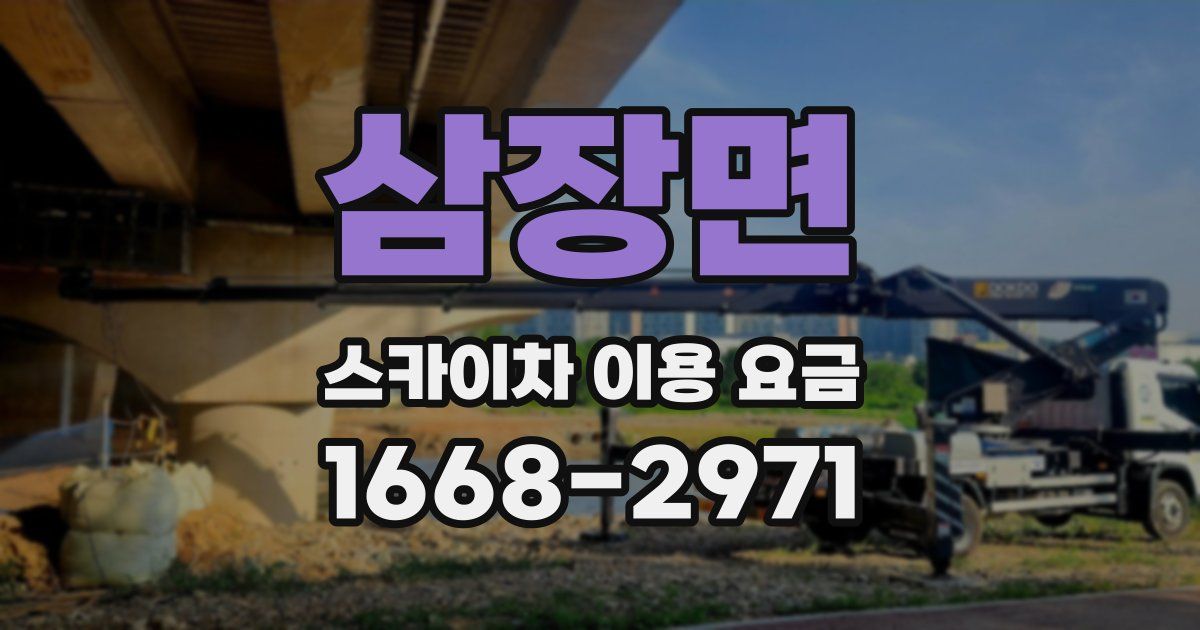 삼장면 스카이차 이용 요금