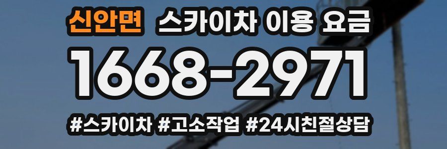 신안면 스카이차 이용 요금