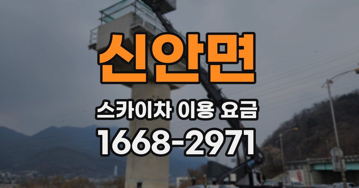 신안면 스카이차 이용 요금