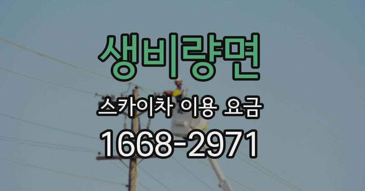 생비량면 스카이차 이용 요금