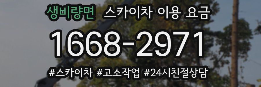 생비량면 스카이차 이용 요금