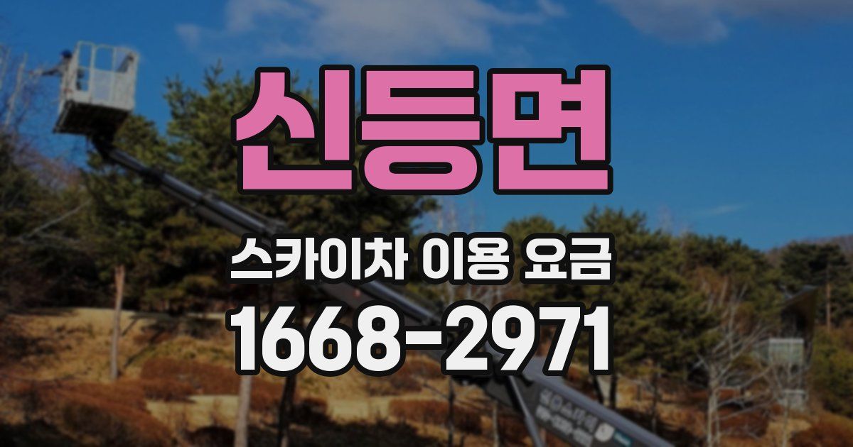 신등면 스카이차 이용 요금