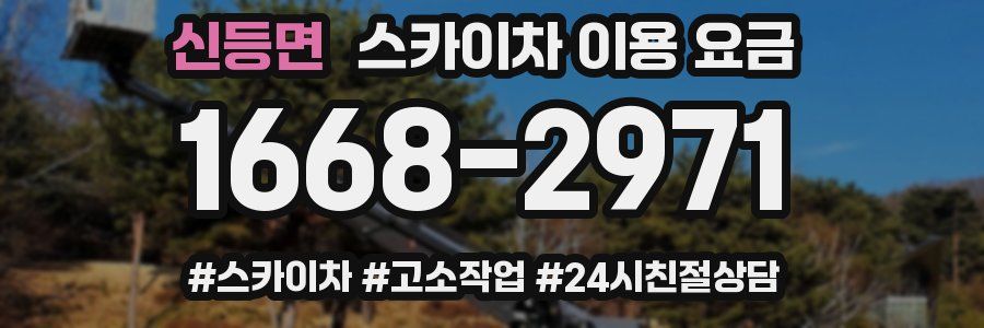 신등면 스카이차 이용 요금