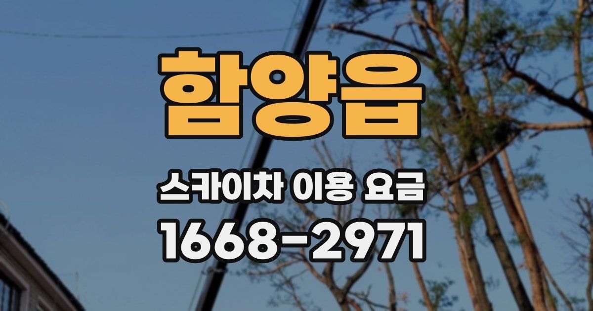 함양읍 스카이차 이용 요금