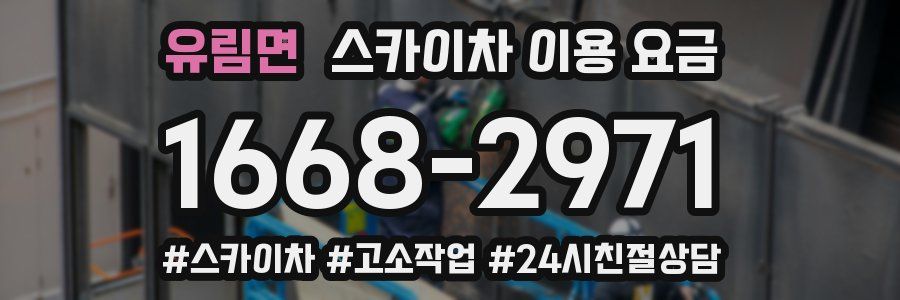 유림면 스카이차 이용 요금