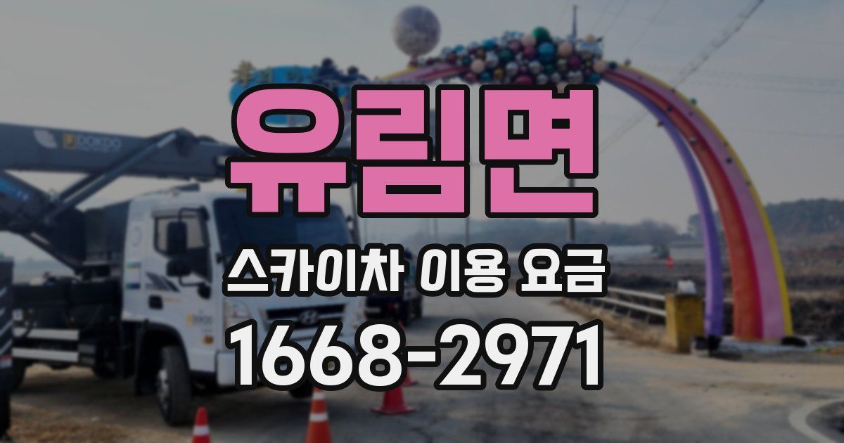 유림면 스카이차 이용 요금