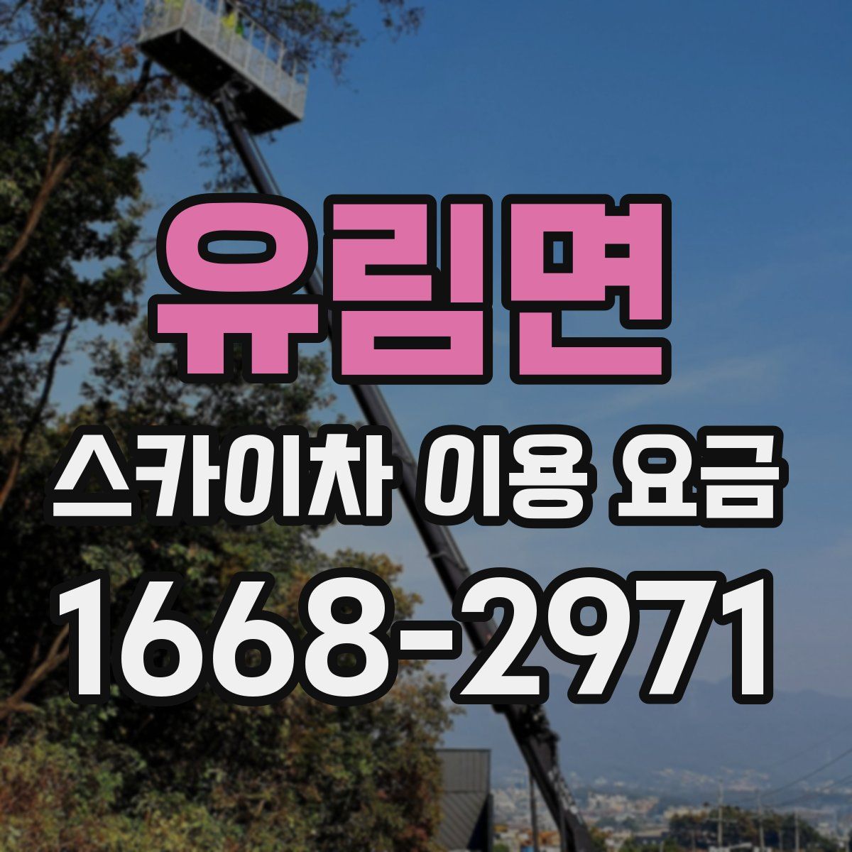 유림면 스카이차 이용 요금