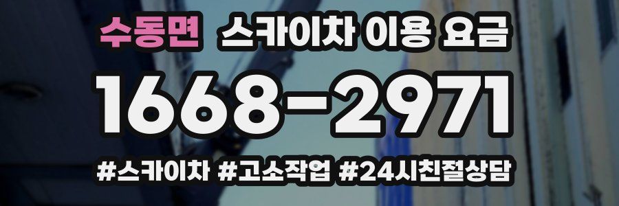 수동면 스카이차 이용 요금