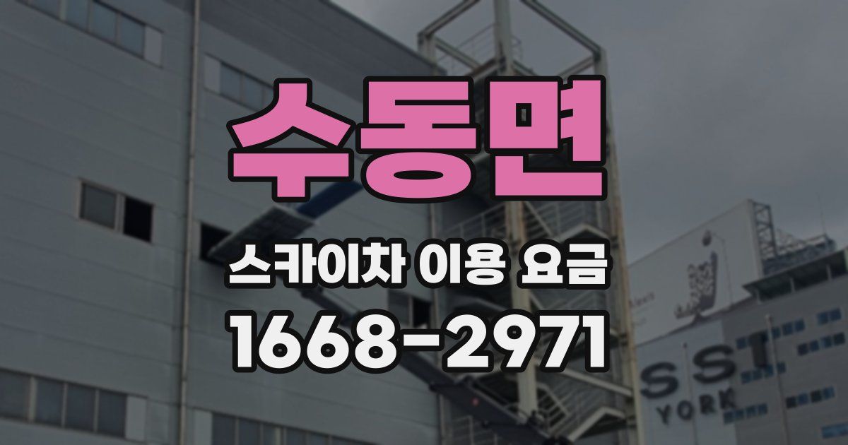 수동면 스카이차 이용 요금
