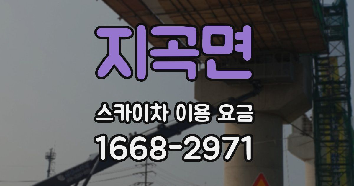 지곡면 스카이차 이용 요금