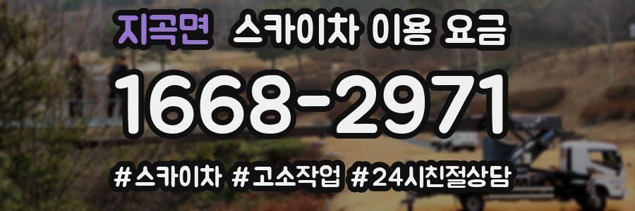 지곡면 스카이차 이용 요금