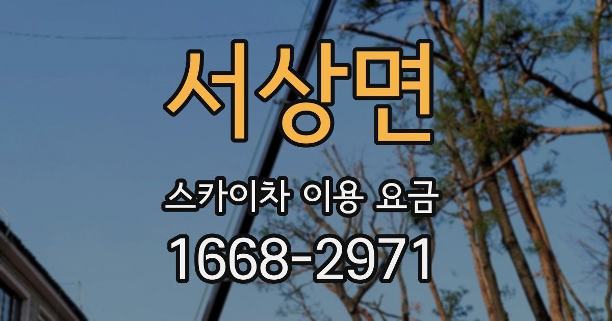 서상면 스카이차 이용 요금