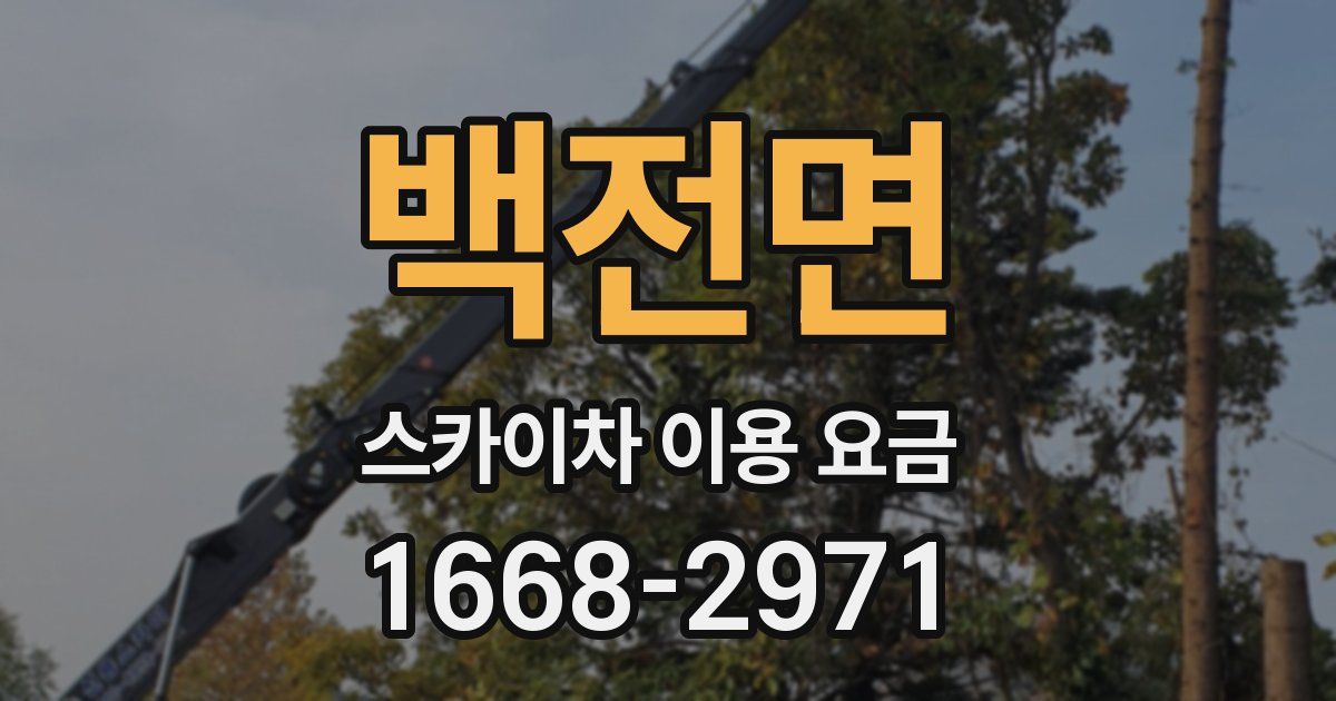 백전면 스카이차 이용 요금