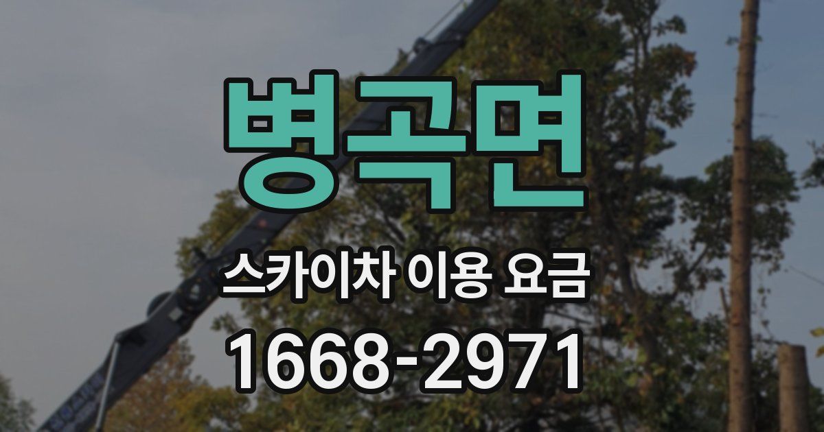 병곡면 스카이차 이용 요금