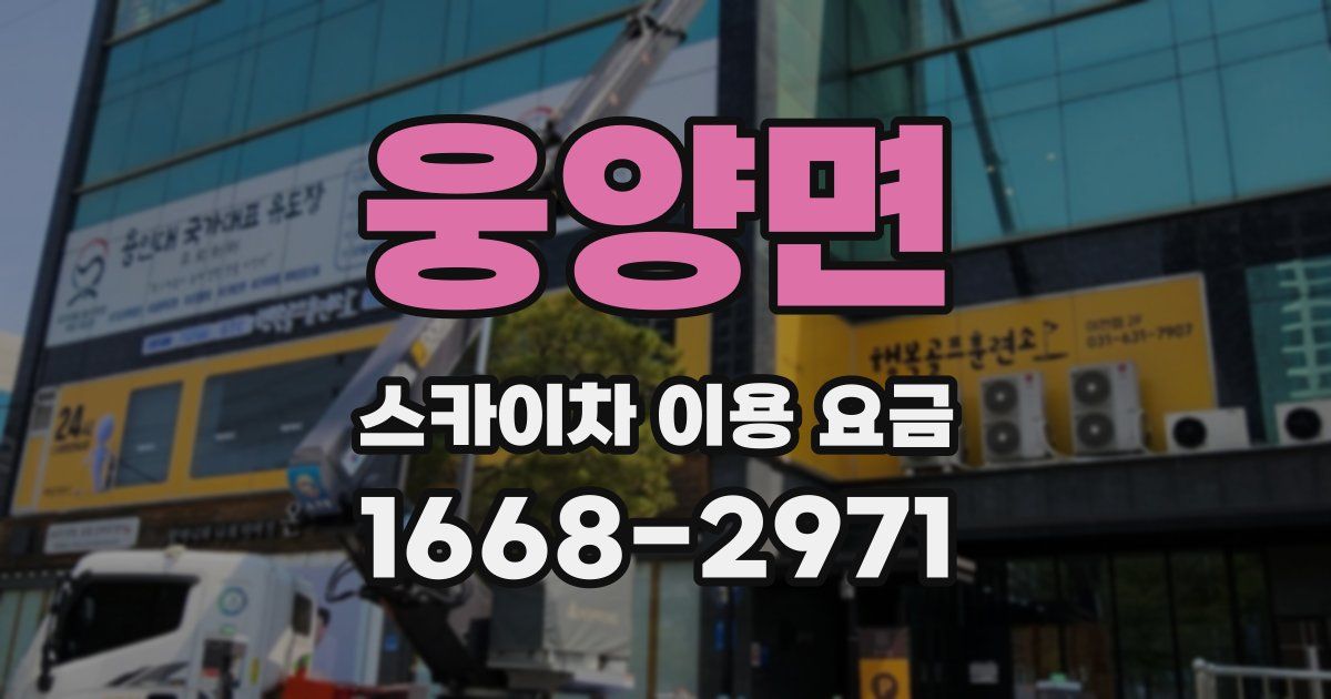 웅양면 스카이차 이용 요금