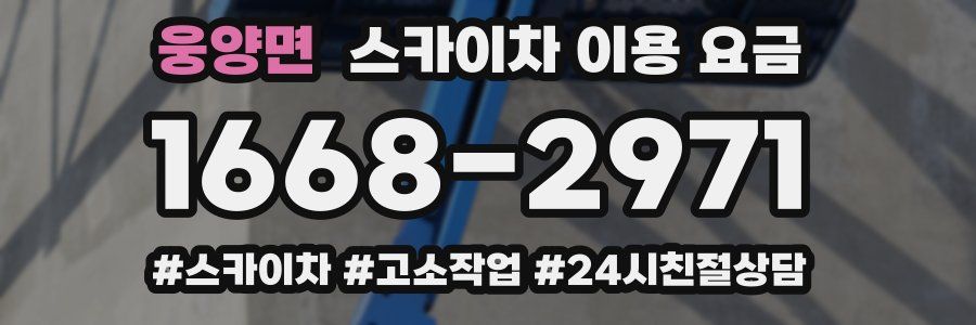 웅양면 스카이차 이용 요금