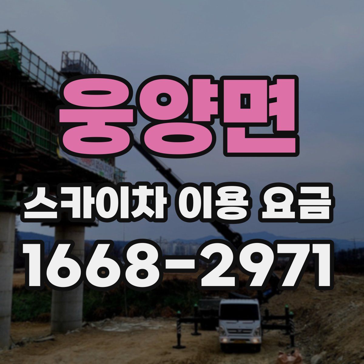 웅양면 스카이차 이용 요금