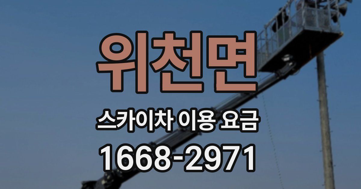 위천면 스카이차 이용 요금