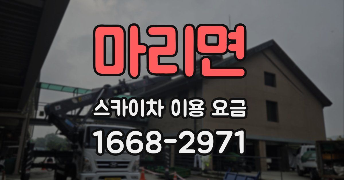 마리면 스카이차 이용 요금