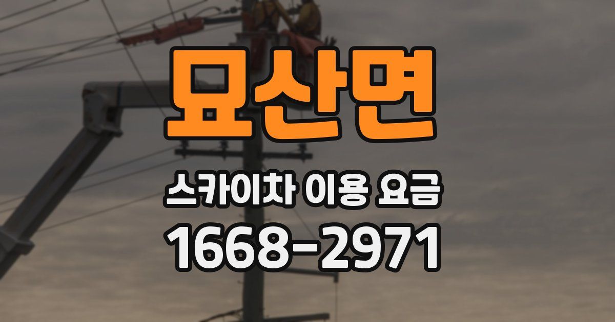 묘산면 스카이차 이용 요금