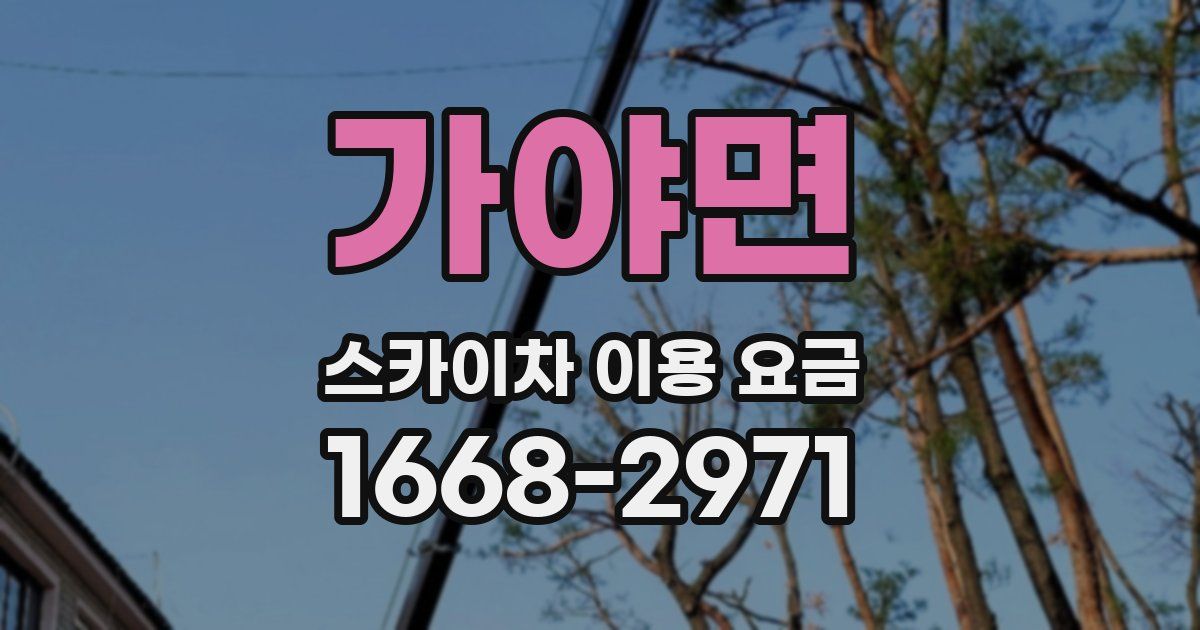 가야면 스카이차 이용 요금
