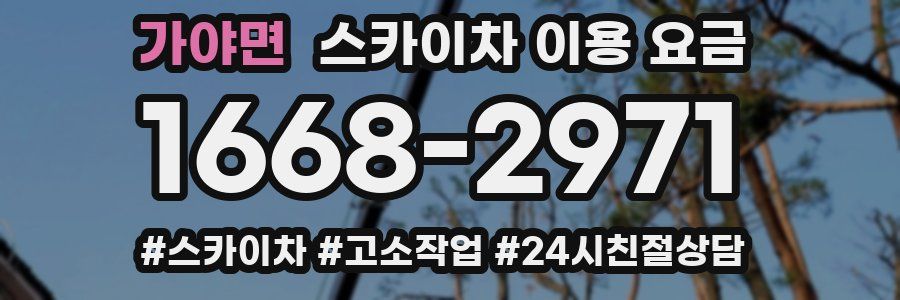 가야면 스카이차 이용 요금